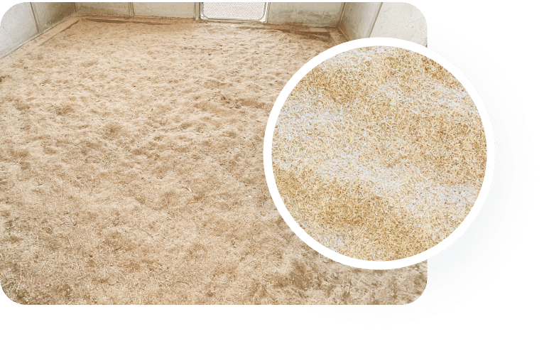 Hemp Horse Bedding Comparison